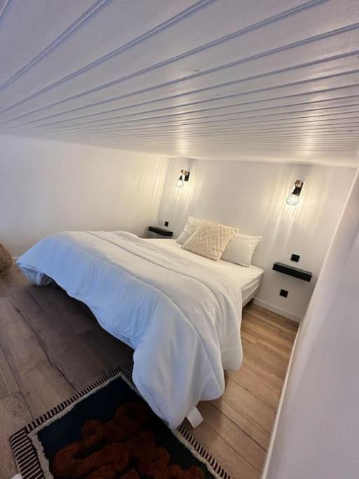 Duplex Lumineux Lejlighed Nantes Eksteriør billede